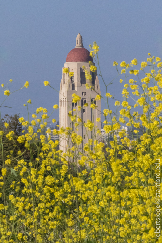 stanford dish 2018